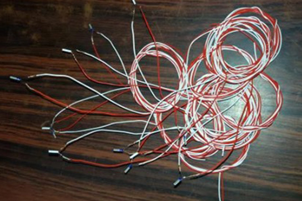 RTD Sensor